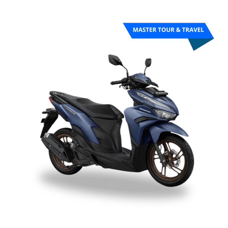 unit vario